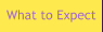 What to Expect